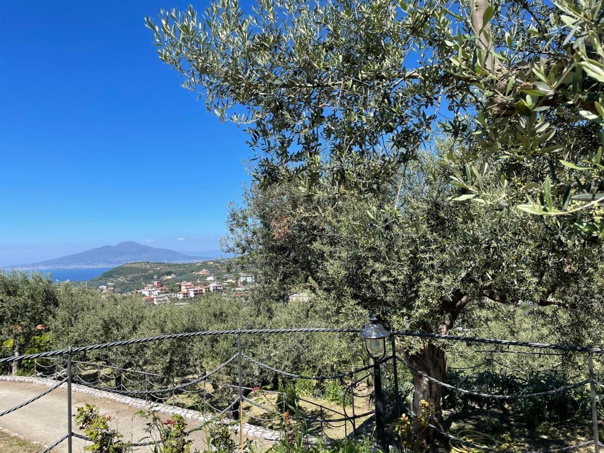 Loren House, Relaxing Location With Seaview Massa Lubrense Εξωτερικό φωτογραφία