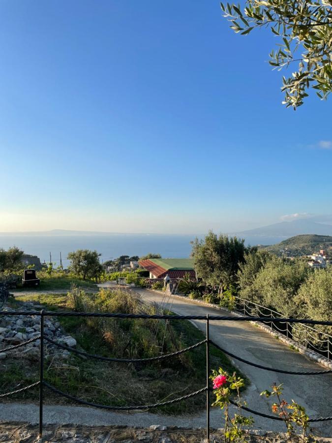 Loren House, Relaxing Location With Seaview Massa Lubrense Εξωτερικό φωτογραφία